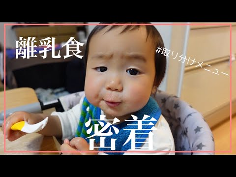 【離乳食後期】取り分けメニューで楽ちん夕ご飯の3日間に密着！