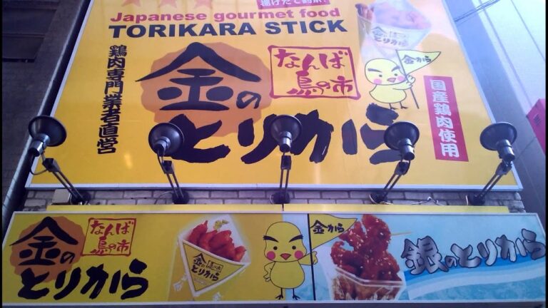 金のとり    から唐揚げ