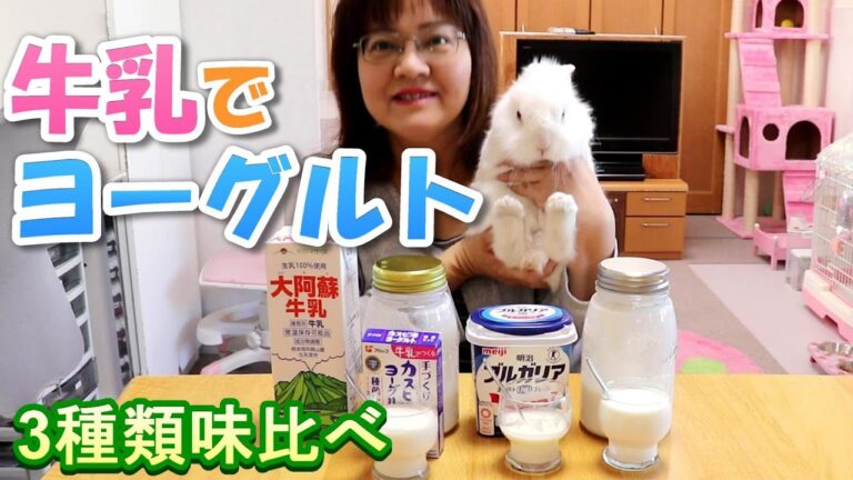 牛乳でヨーグルトを２種類作りました【牛乳料理】