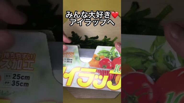 ほうれん草の冷凍/カチカチにならない冷凍保存#shorts #shortvideo