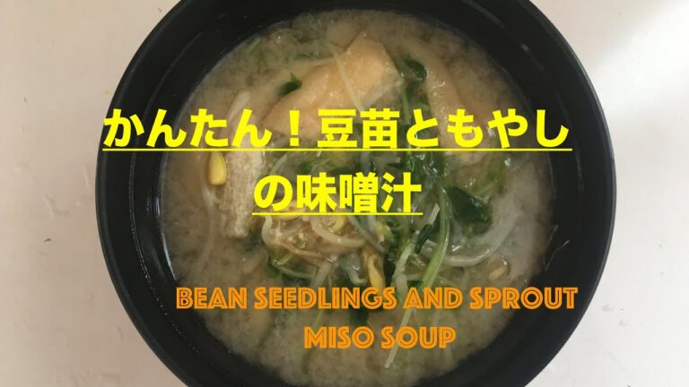 【汁飲道】021，【包丁いらずクッキング】豆苗ともやしの味噌汁＃味噌汁＃キッチンバサミでクッキング