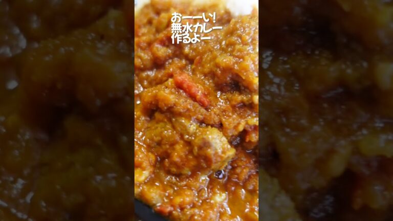 【無水カレー】スパイスと酸味のきいたバカうまカレー！！豚のうま味と野菜のうま味でまくり！！