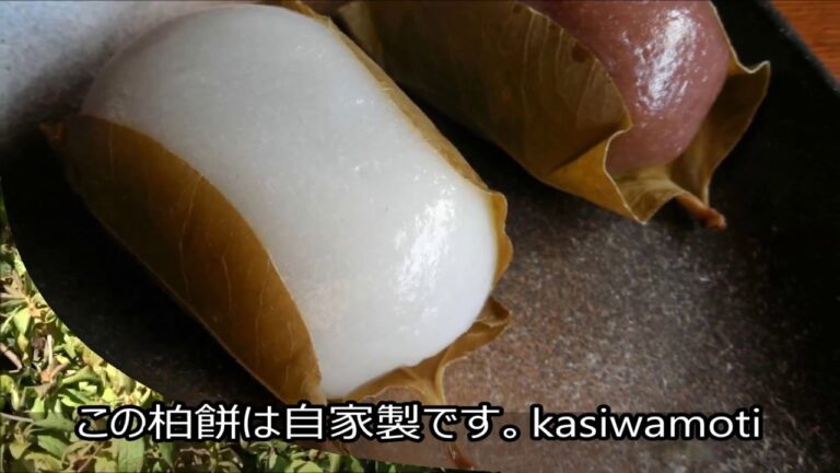 【柏餅を包む】サルトリイバラの真っ赤な果実 Monkey captive thorn