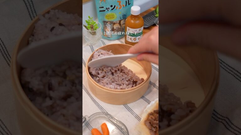 今日はシンプル牛丼弁当！！#お弁当#lunchbox #わっぱ弁当#shorts