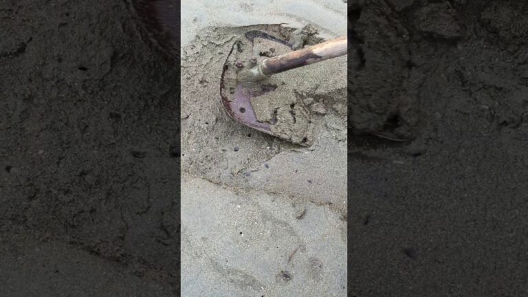 新舞子 マテ貝取り