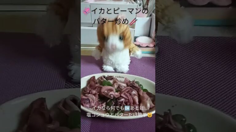 #9/13#イカとピーマンのバター炒め#料理#簡単#美味しい#ショート#しゃべる猫