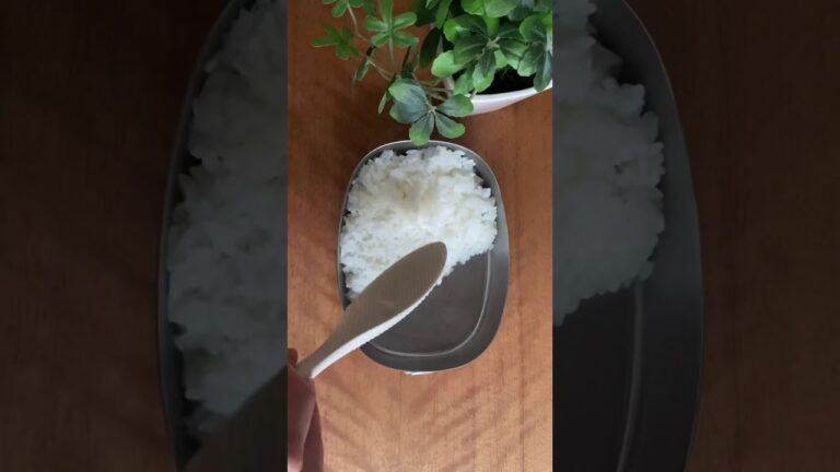 『お弁当の詰め方』野菜の肉巻き弁当