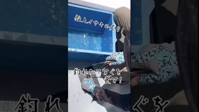釣りたてを船の上で炙って食べる！#イサキ　#炙り　#SLJ　#船上調理　#男飯