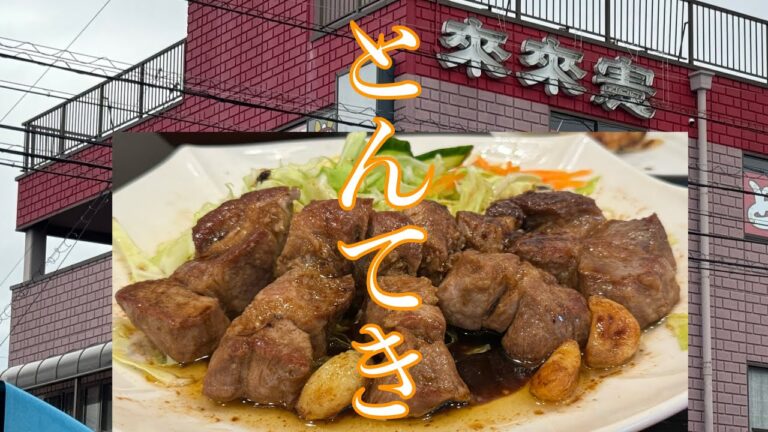 今度は“四日市大とんてき”を食らう‼️ 三重県四日市の超有名店『まつもとの来来憲』‼️ こちらも元祖の味を守り続ける人気店♪ 【みずのっち孤食旅】