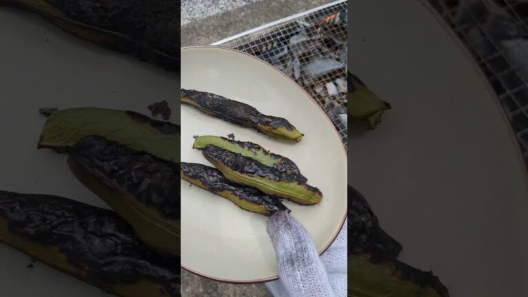 そら豆の炭火焼き #料理 #料理動画 #cooking #簡単レシピ #簡単料理 #炭火焼き #そら豆