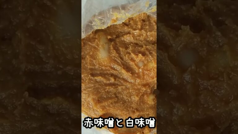 新生姜の味噌漬け #簡単レシピ #新生姜 #味噌漬け #保存食 リミックス #shorts