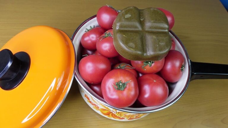 朝ごはん作ってみた『フルーツトマトの無水カレー』