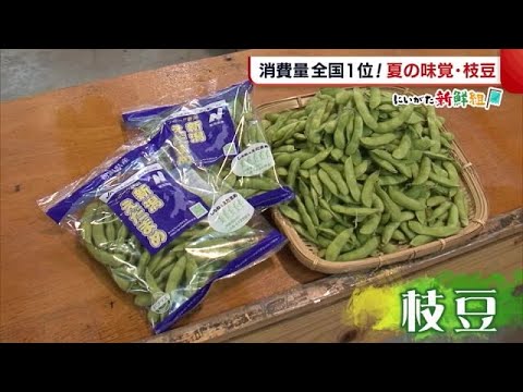〈にいがた新鮮組〉消費量全国１位！新潟の夏に欠かせない“枝豆”　「家族団らんで食べて」 (21/07/05 19:18)
