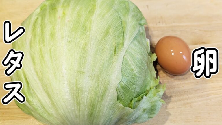 【レタスと卵の簡単レシピ】5分で作れる時短レシピ！切って炒めるだけなのに箸が止まらない節約レシピ　包丁もまな板もいらないお手軽料理の作り方