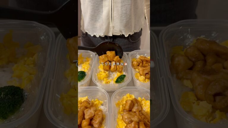 👛1食160円🧊冷凍ストック【てりたま弁当】
