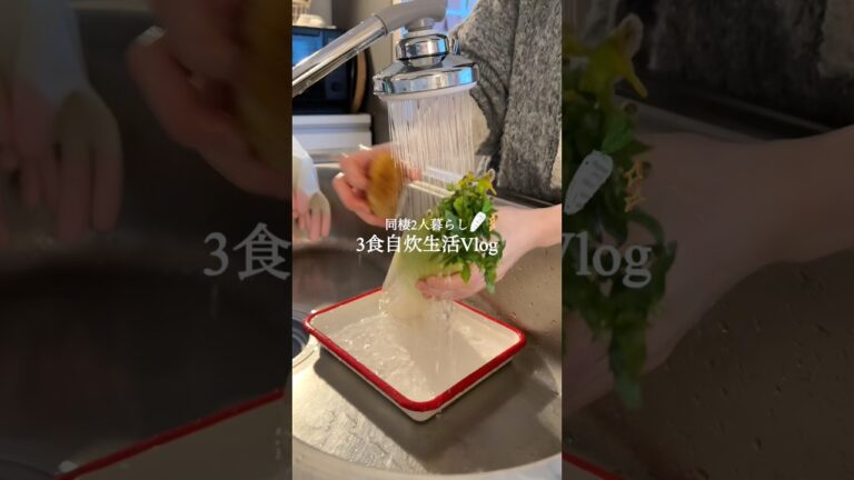 【大根レシピ】3食自炊をラクする漬物🛖🌱