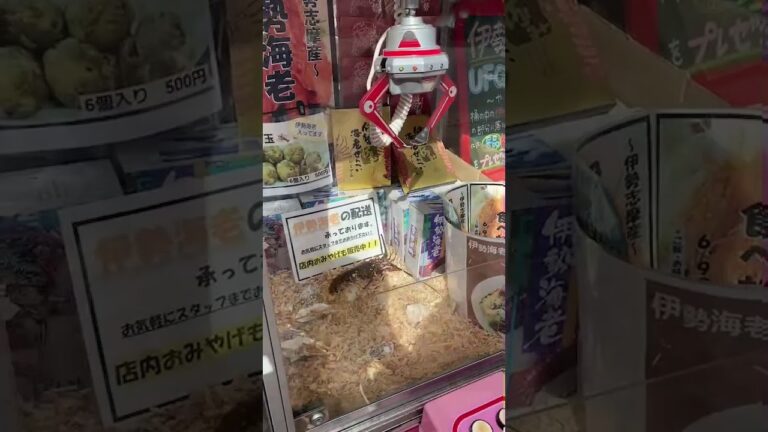 【伊勢海老UFOキャッチャー】100円で。。！！