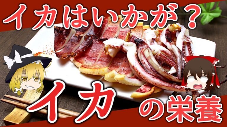 【ゆっくり解説】美味しいだけじゃない！？『イカ』の栄養について解説！