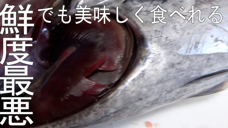 簡単手作りツナのオイル漬け鮮度悪くても捨てないで【マルソウダガツオ】