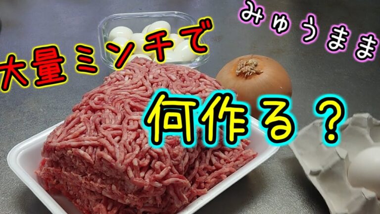 【お料理レシピ】今日はミンチ