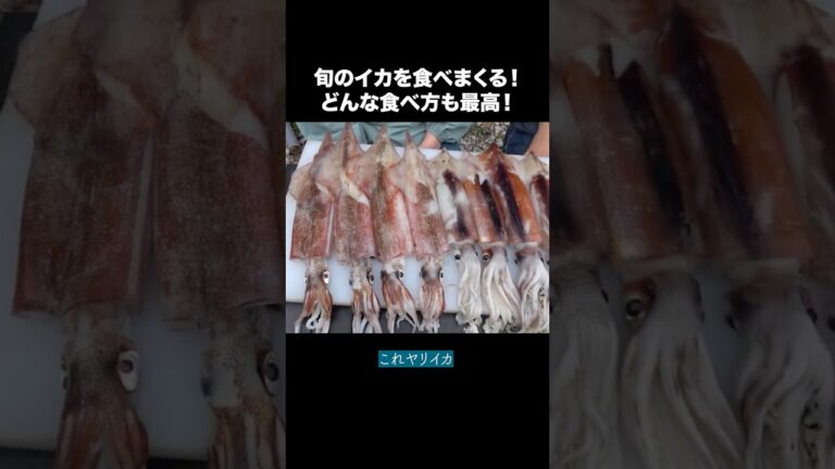【爆食】3種の超新鮮なイカを食らう!イカしゃぶイカ飯、濃厚すぎる味わいで泣ける美味さ⋯