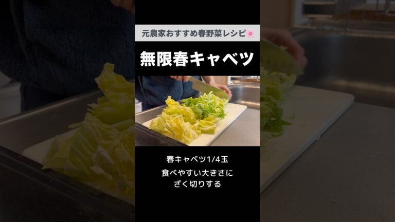 ぜひ作って欲しい！春キャベツの梅おかかあえ｜手軽に旬を楽しむレシピ