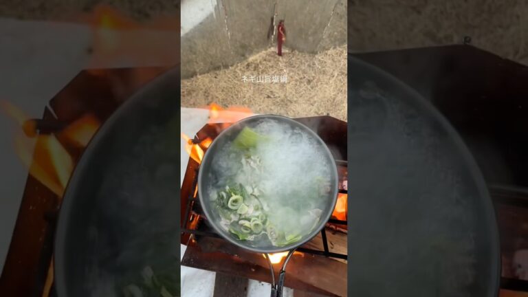 【簡単キャンプ飯】　ネギ山旨塩鍋　#キャンプ飯 #アウトドアグルメ #キャンプ #アウトドア #ソロキャンプ #ハイエース車中泊 #低糖質キャンプ飯