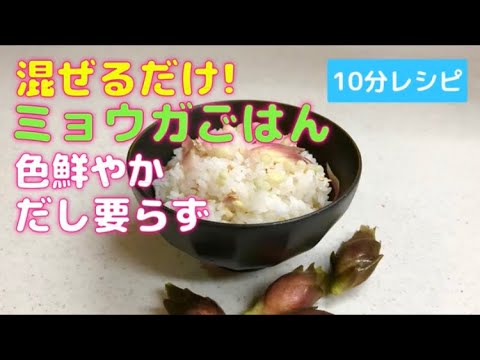 混ぜるだけ！色鮮やか茗荷ごはん　だし要らず　10分レシピ