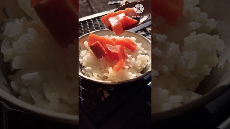 キャンプ　朝ごはん　サーモン茶漬け