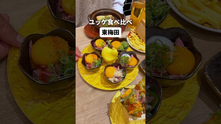 ユッケ5種食べ比べに綿飴の肉豆腐！！コスパ良くてどの料理も映えなここ！ぜひ行ってみて！