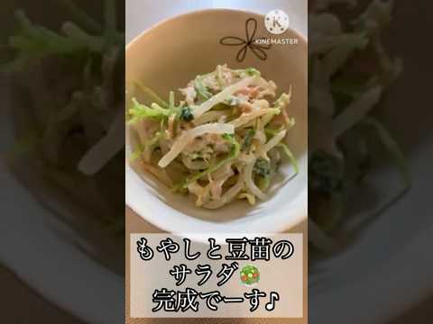 【電子レンジだけで簡単健康サラダ】豆苗ともやしのサラダ🥗安くて経済的#shorts #料理 #簡単レシピ #ズボラ主婦