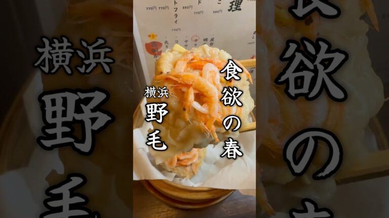 野毛で桜満開！ #横浜グルメ #野毛 #野毛みっちゃん #居酒屋 #新メニュー #春 #エビ #グルメ #美味しい #japanesefood #japantravel #shorts