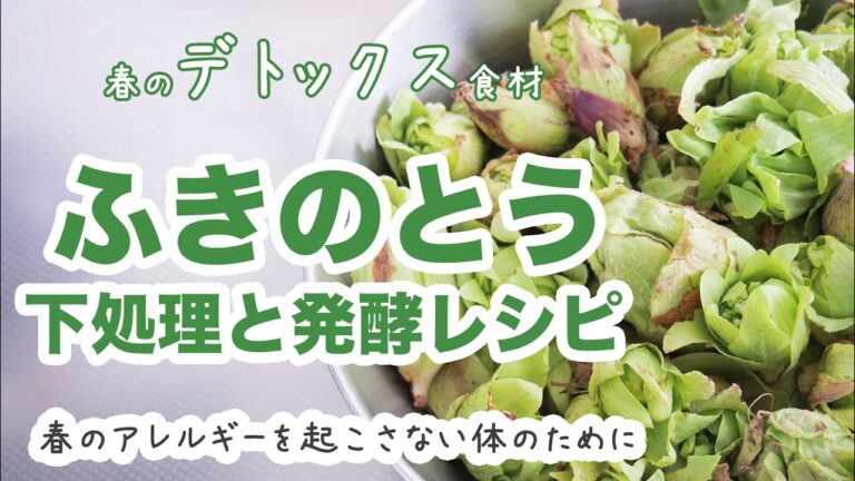 ふきのとうー春のアレルギーを予防ー下処理と作り置きレシピ６品