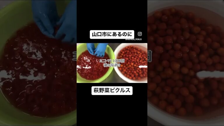 魂のミニトマト1000個湯むき