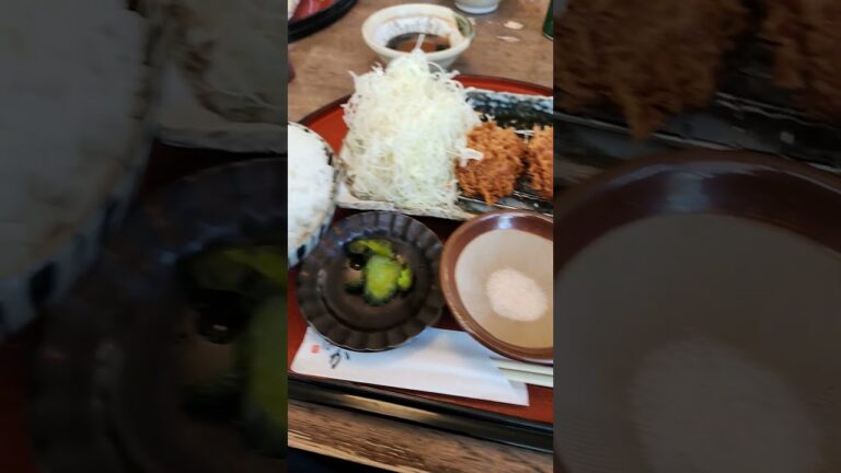 最強とんかつヒレ定食食べます！