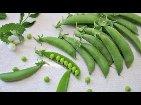 スナップエンドウ〈野菜の食べ方＆調理方法〉by食育マルシェおうち便