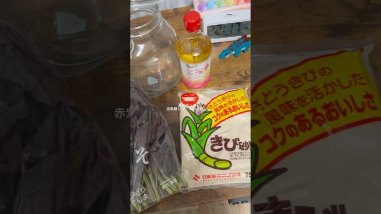 【簡単・自家製ドリンク】赤紫蘇ジュース作ってみた🌺りんご酢＆きび糖でヘルシーに✨ #赤紫蘇ジュース#自家製ジュース#健康ドリンク#夏バテ対策#発酵ドリンク#ヘルシーレシピ#簡単レシピ#自家製ドリンク