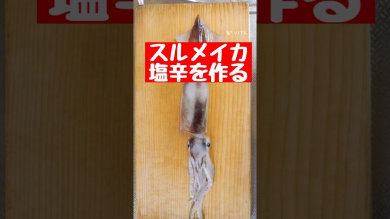 スルメイカで塩辛を作る