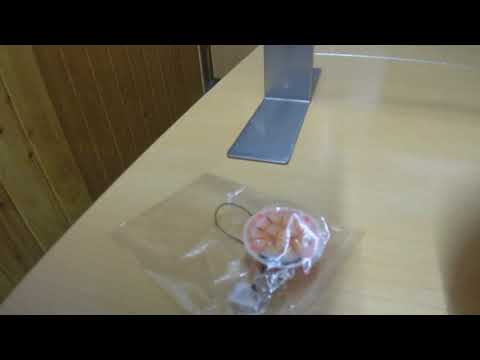 肉そば1000円/坂内食堂/福島県喜多方市