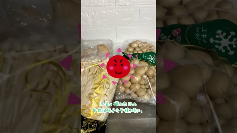 ジャージャーきのこそうめんを作る審神者#shorts