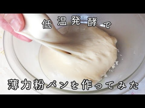 【低温発酵の薄力粉のパン】作り方とレシピ　冷蔵庫でゆっくり発酵させると美味しいパンになりますよ～
