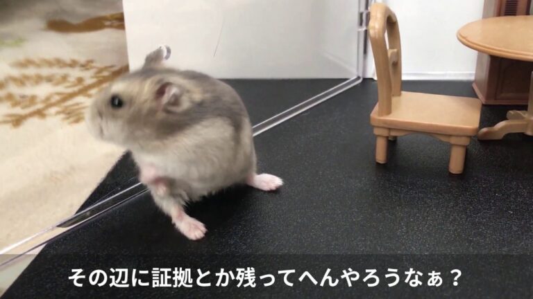 すじこんの　う・わ・き、ばれたかも？