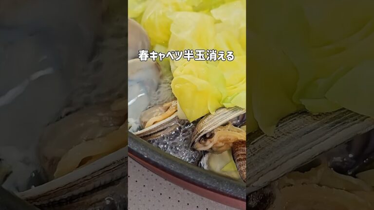 旬のあさりと春キャベツで🌸ごはんが止まらない一品。フライパンにあさりと春キャベツをのせて蒸すだけ。バターと醤油でコクうまの春おかずです。#春キャベツ#あさりレシピ#簡単レシピ#晩ごはん#姫路スーパー