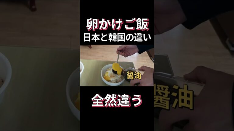 卵かけご飯の日本と韓国の違い