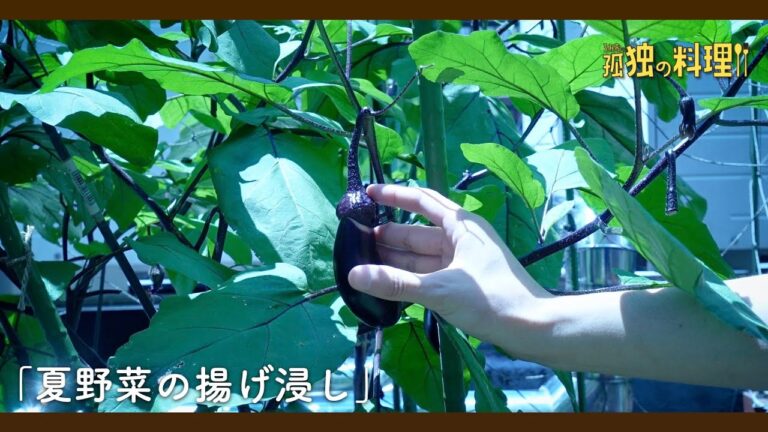 【料理ドラマ】盗んだ野菜で揚げ浸し