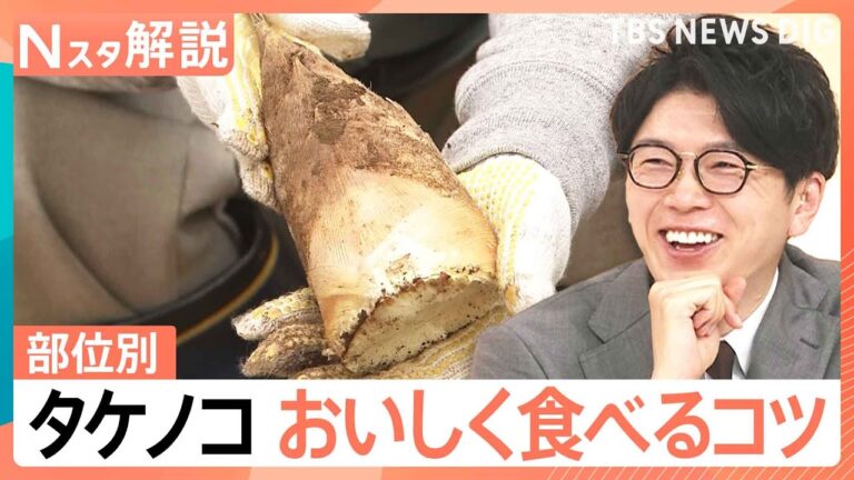 今年はタケノコ「表年」で豊作？ えぐみを抑える選び方と“米ぬか不要”のアク抜き術【Nスタ解説】｜TBS NEWS DIG