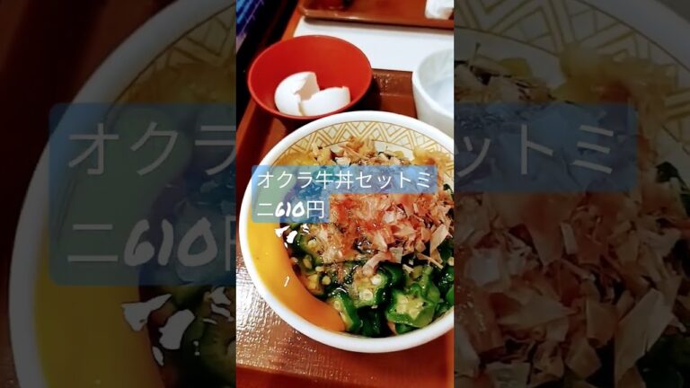 【すき家愛用者】オクラ牛丼みそ汁セット610円美味しかった安い!経済的良い!