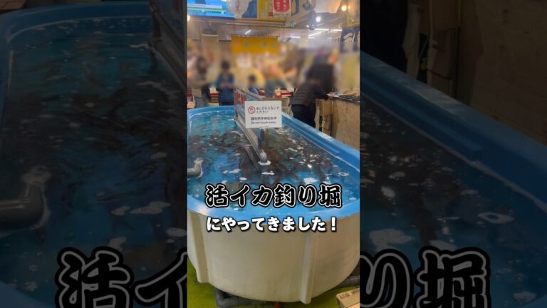 【活イカ釣り堀】函館朝市駅ニ市場の函館名物を釣って食べられる釣り堀が最高でした🙌🙌🙌 #shorts #イカ #函館 #釣り堀 #市場 #旅行 #名物 #食べてみた