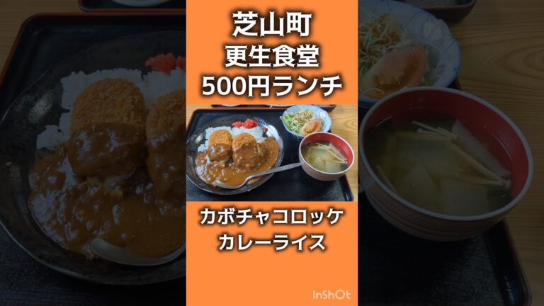 【芝山町】カボチャコロッケカレーライス【ワンコインランチ】