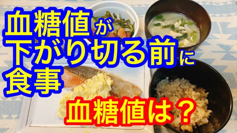 前の食事の血糖値が下がり切る前に食べたらどうなる？鮭のムニエル、野菜カレー炒め、玄米ご飯70g血糖値は？